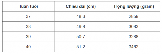 1-39-640x215 Bật mí cho mẹ tháng cuối thai nhi tăng cân như thế nào?