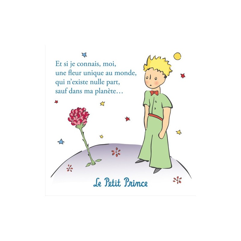 Citation Petit Prince Amour: La beauté des rencontres