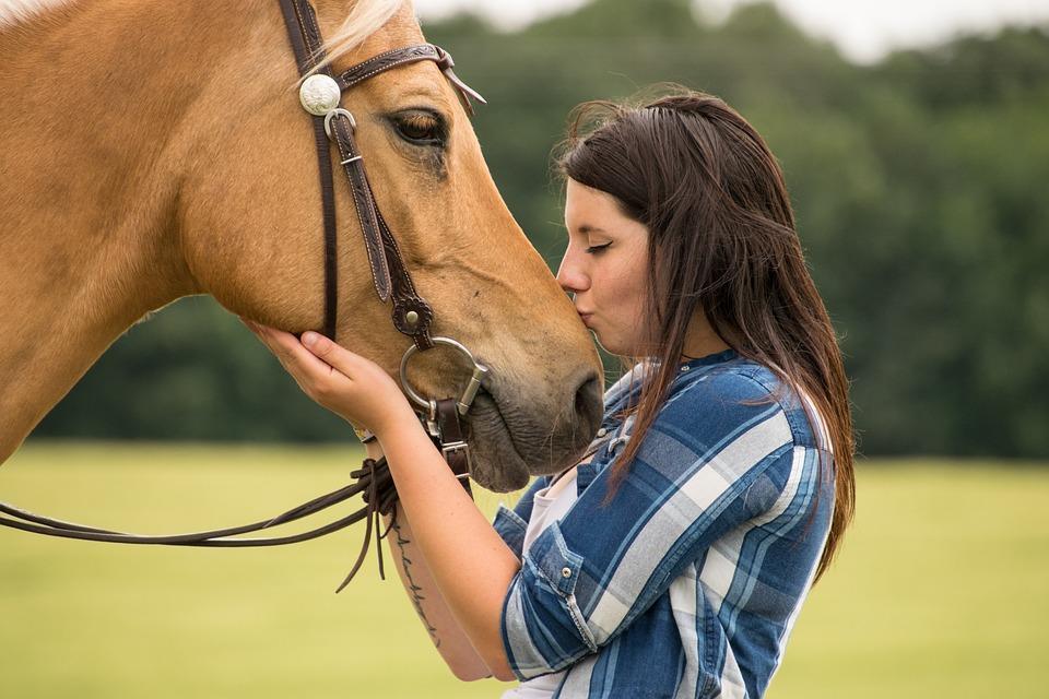 Complicité citation cheval amour: Les citations du cheval