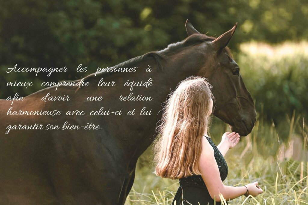 Complicité citation cheval amour: Expriment l'amour