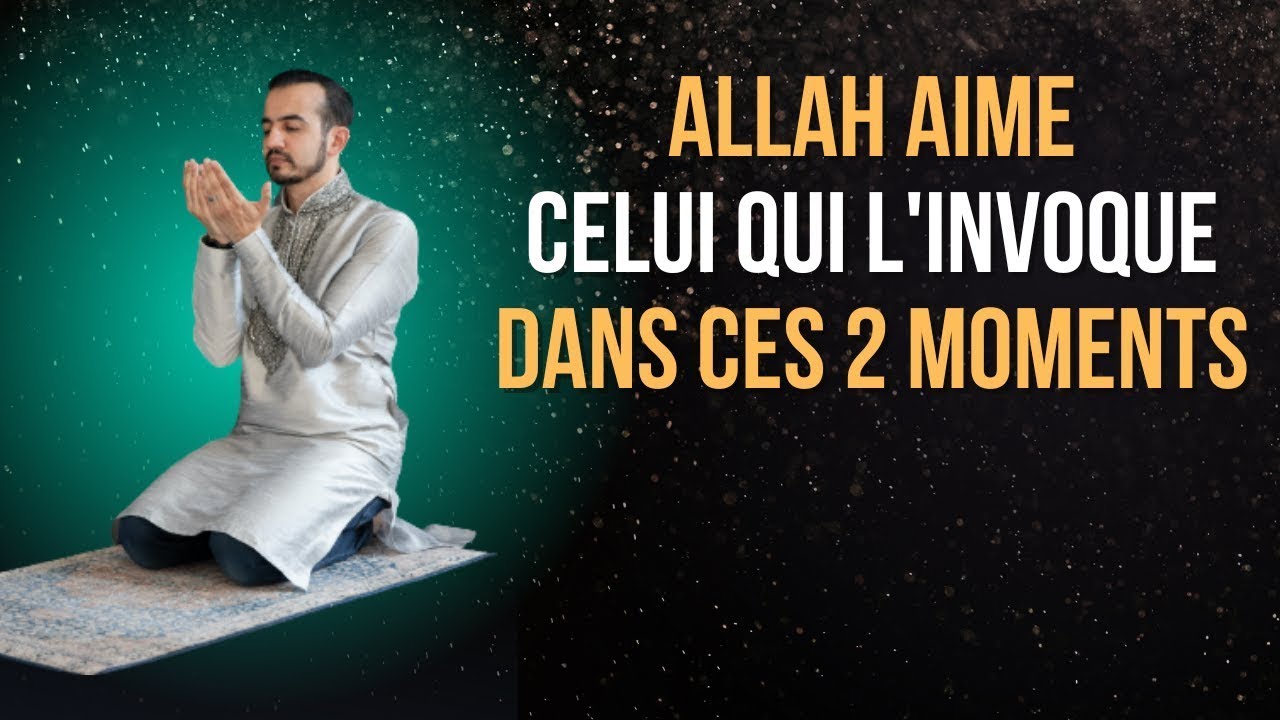 Citation Islam Allah: L'amour et la paix selon le Coran