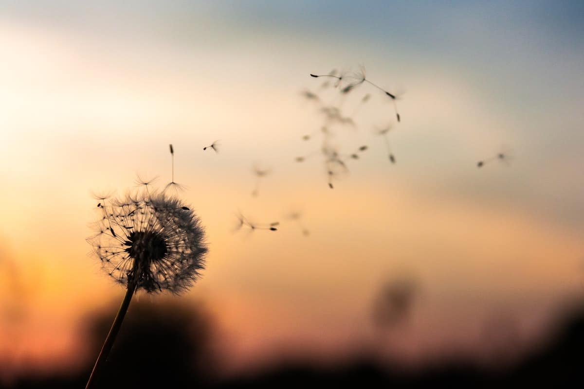 Le silence est dor citation: La puissance du non-dit