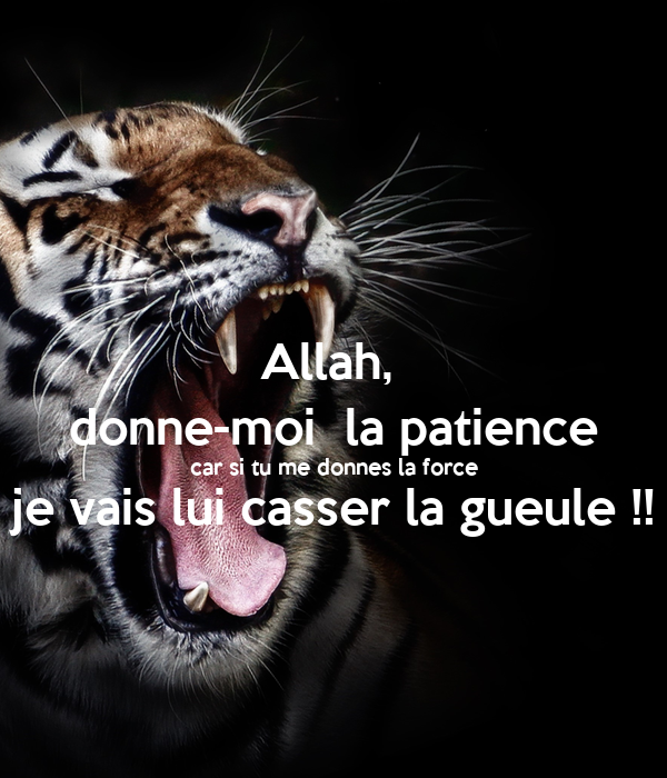 Citation patience islam: La patience, une source de sagesse