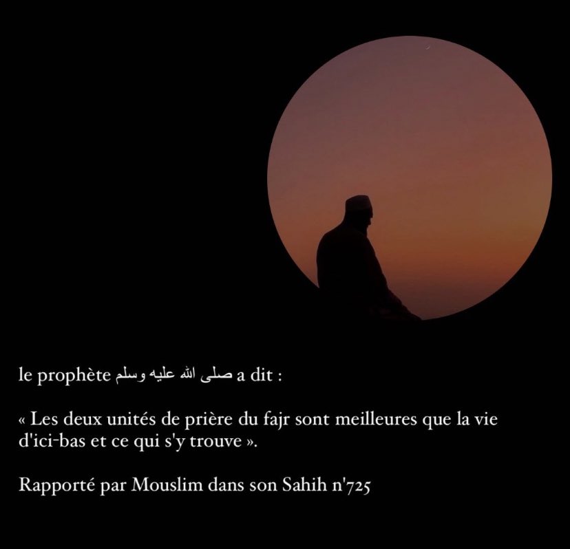 Citation sur la vie islam: Des citations pour illuminer votre vie