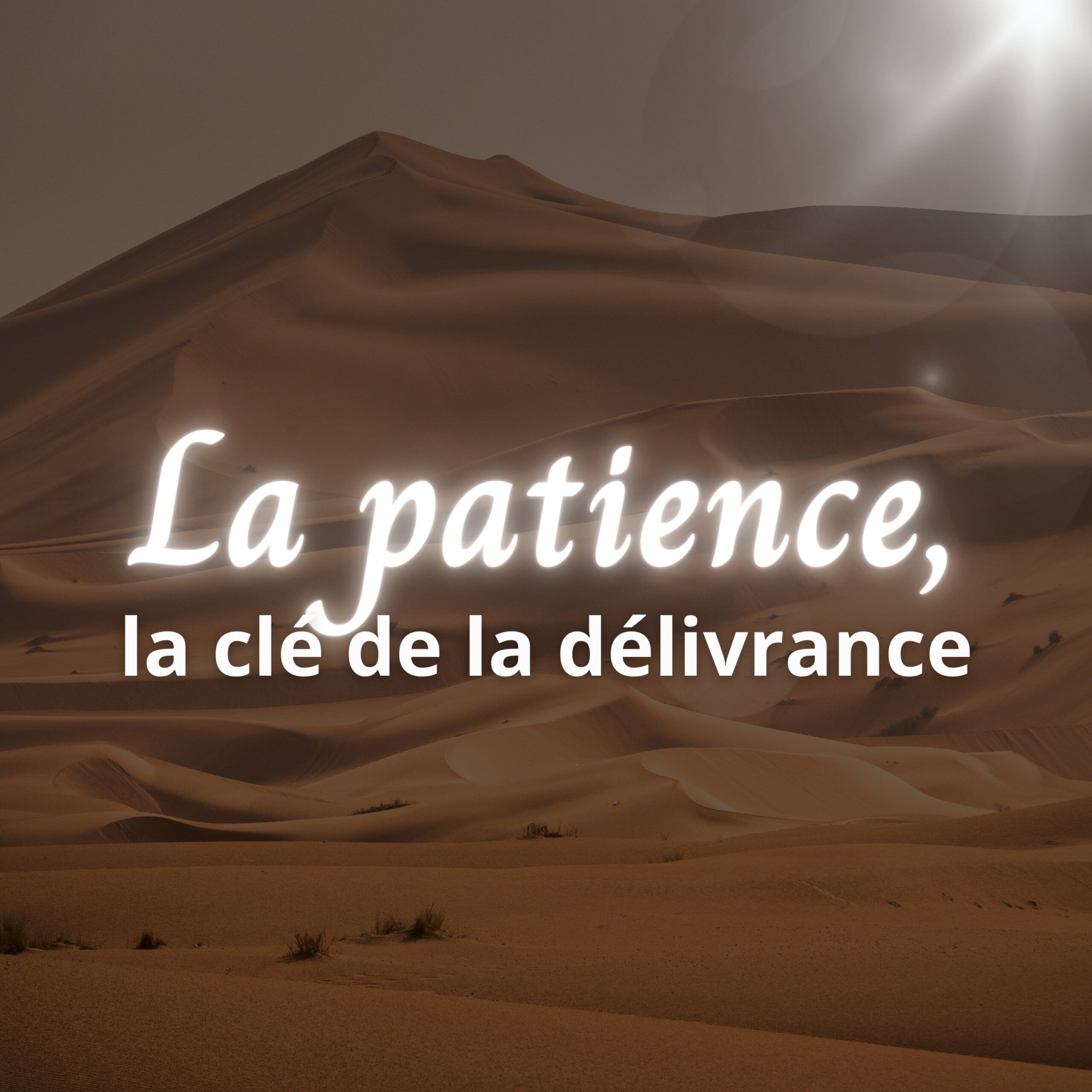 Patience citation islam, une clé du bonheur selon l'islam