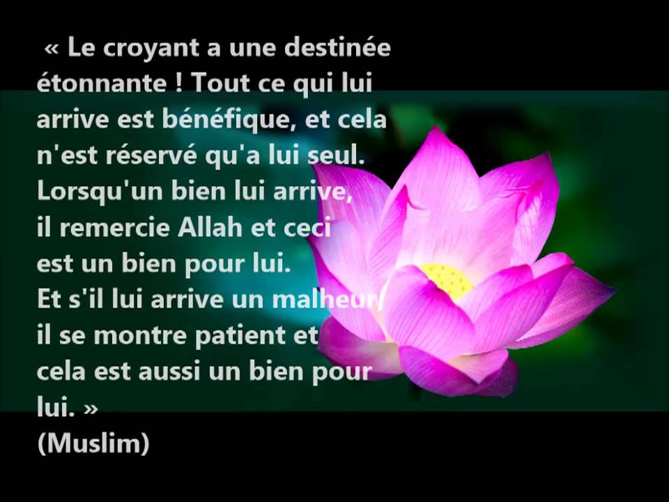 Citation islam épreuve: La gratitude dans les moments difficiles