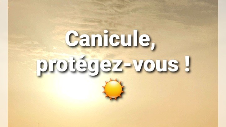 Citation humour canicule: L'été, saison du mode survie