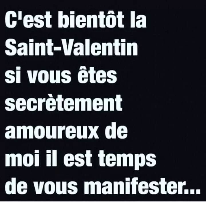 Citation saint valentin humour des cœurs légers