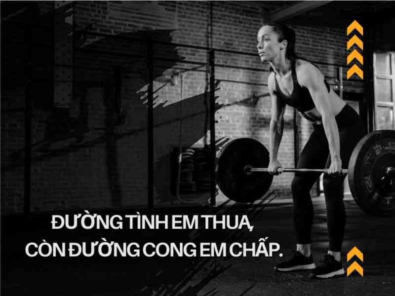 stt tập gym hài hước