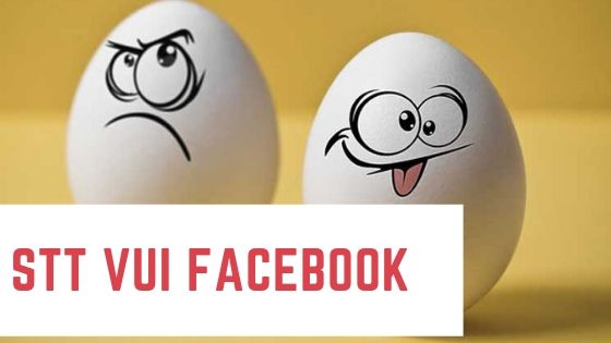 [999+] Stt vui facebook câu like, câu view khủng nhất hiện nay | Tổng hợp những câu nói nhận đạo và đời sống hay nhất trên đời