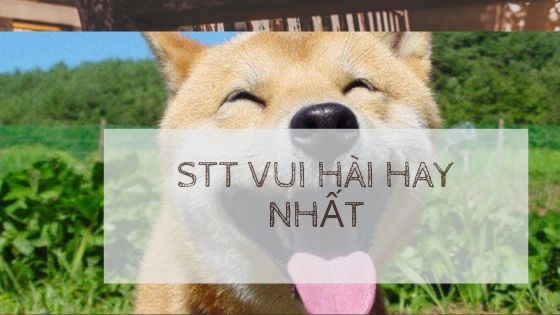 Chọn lọc [999+] stt vui hài câu like siêu HOT nhất hiện nay | Tổng hợp những câu nói nhận đạo và đời sống hay nhất trên đời