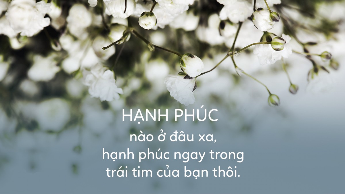 Stt vui vẻ về tình yêu hay, đong đầy tình yêu thương | Tổng hợp những câu nói nhận đạo và đời sống hay nhất trên đời