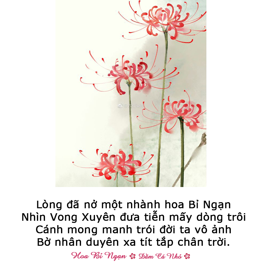 Xem hơn 100 ảnh về hình vẽ hoa bỉ ngạn đơn giản  NEC