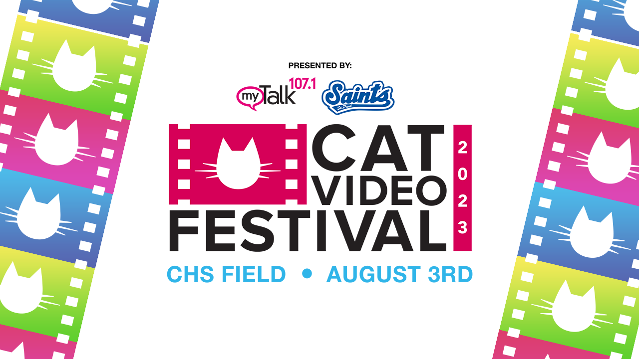 Cat Video Festival 2023 – A Feline Extravaganza Worth