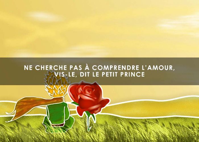 Citation le Petit prince amour, source de bonheur