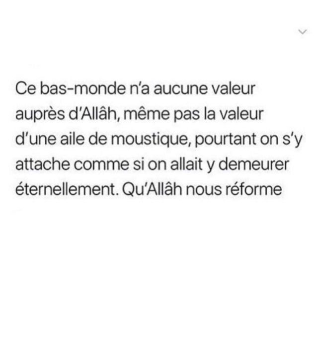 Citation sur la vie islam: Une quête de sens et de spiritualité